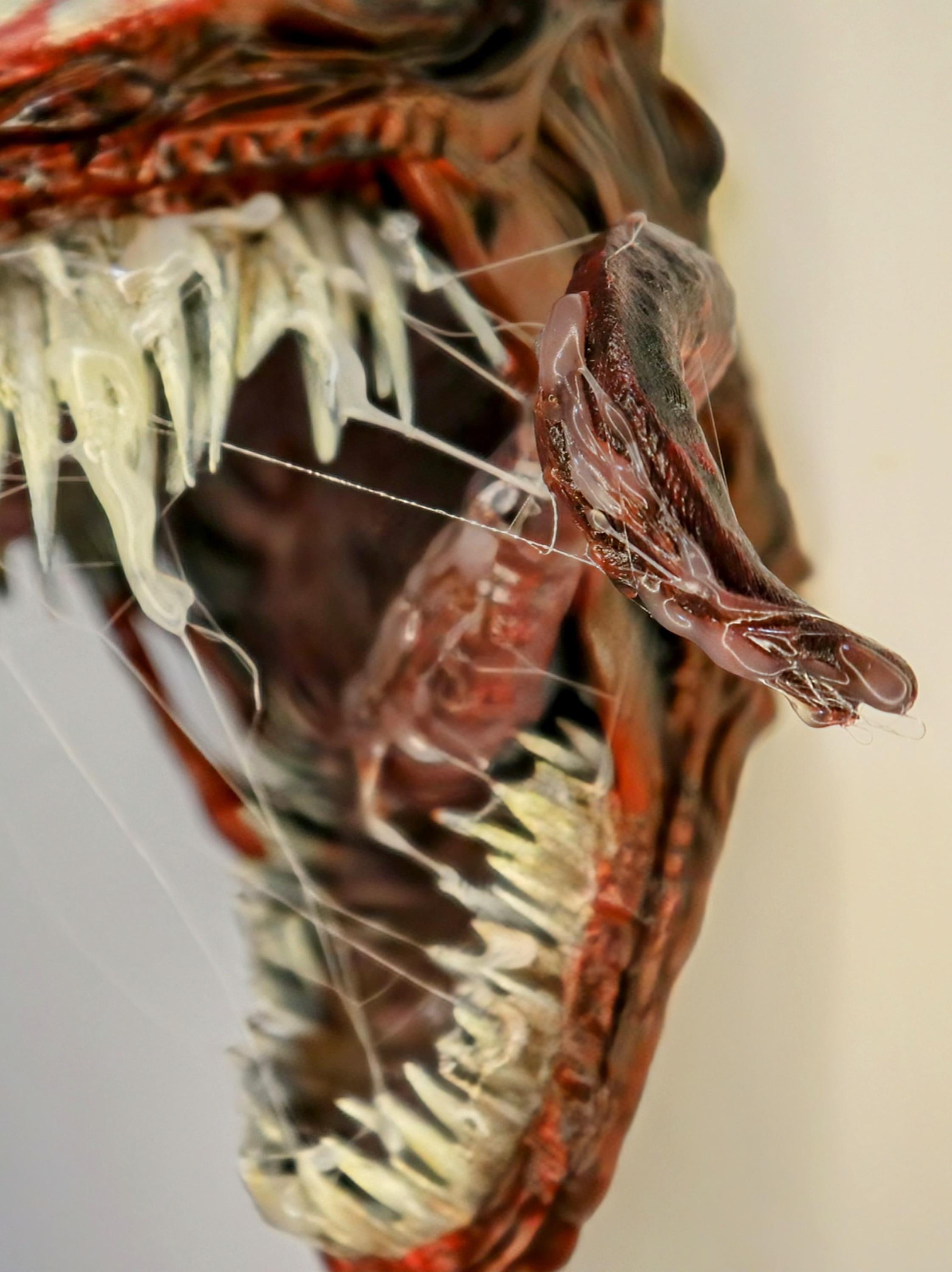 012 "CRNG" – Crimson Chaos – Busto Carnage 3D – Scultura Rifinita a Mano