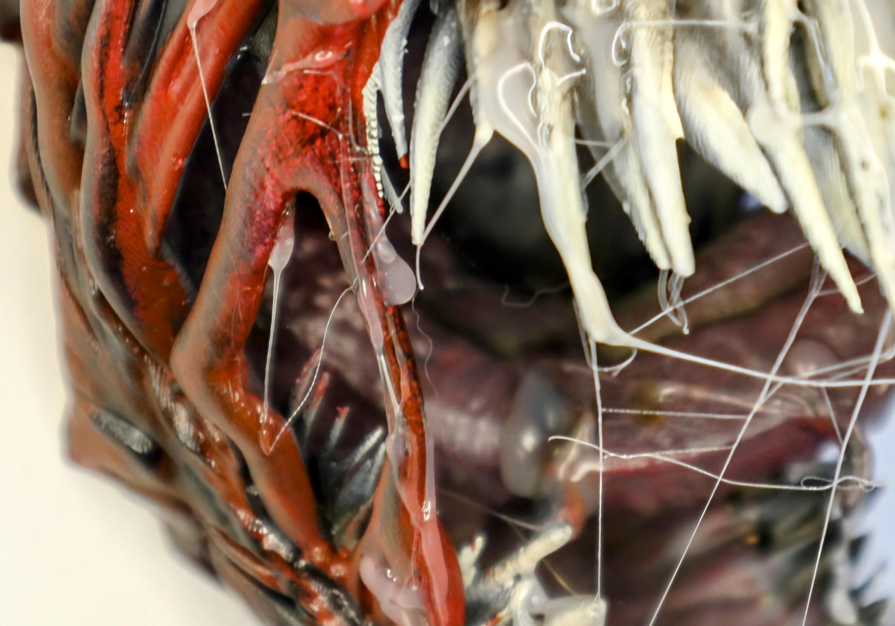 012 "CRNG" – Crimson Chaos – Busto Carnage 3D – Scultura Rifinita a Mano
