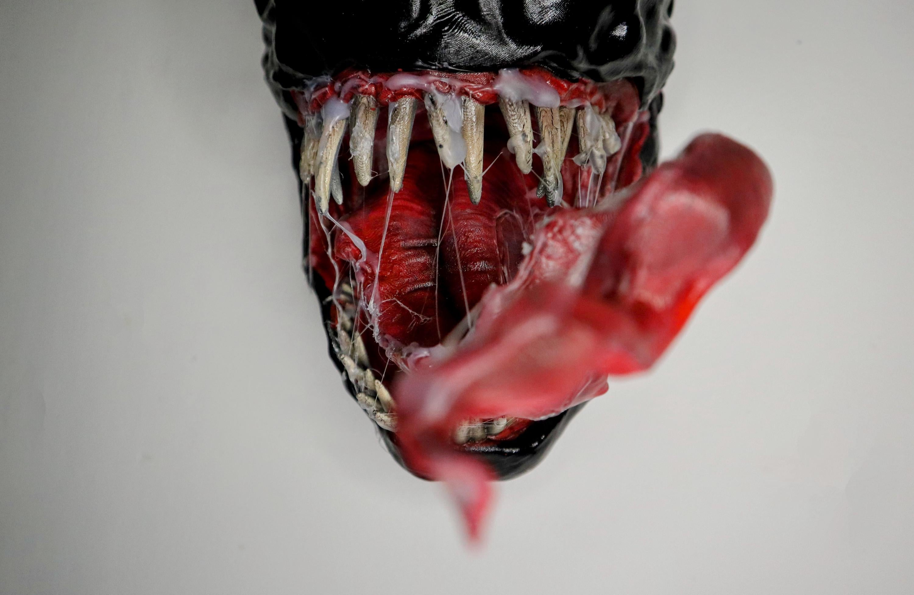 011 "VNM" – Venom Bust 3D Print – Hand-Painted Sculpture 26×20×15 cm – Unique Collector’s Piece
