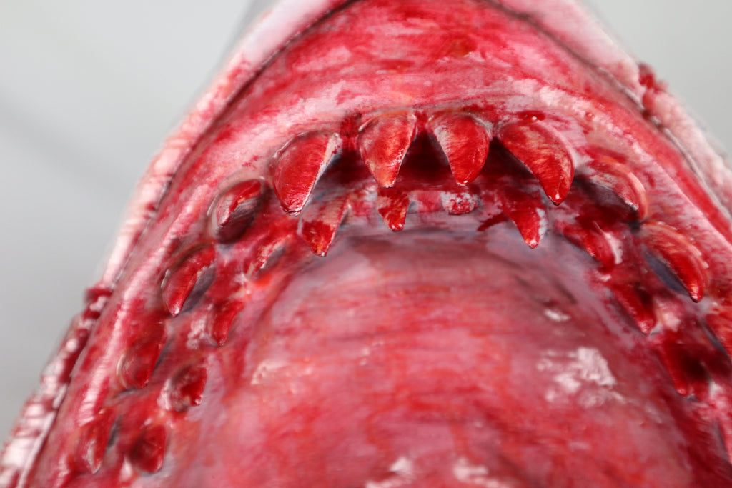 Apex Predators – Shark's bite