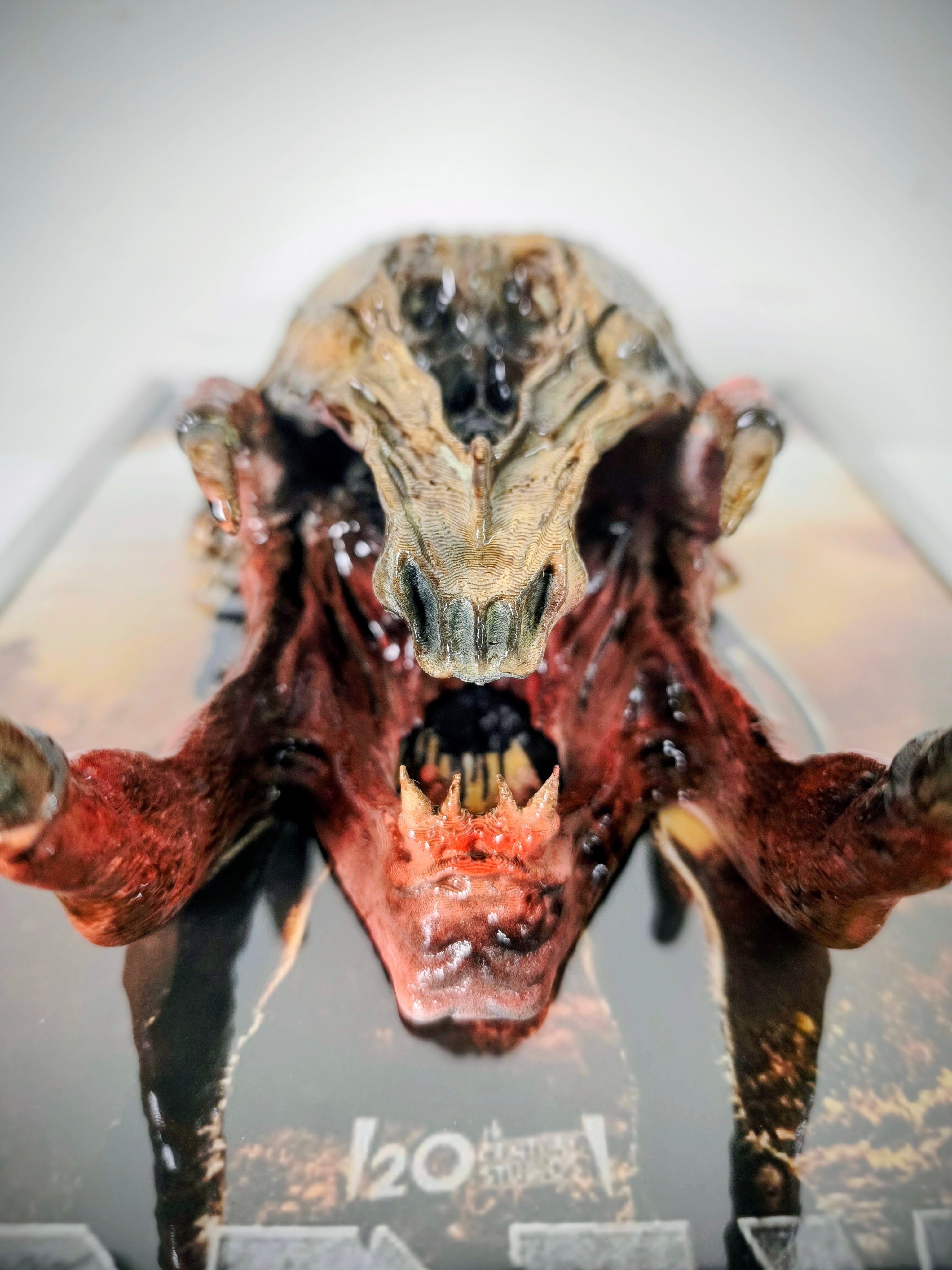 Nightmares in Frame - Prey Predator