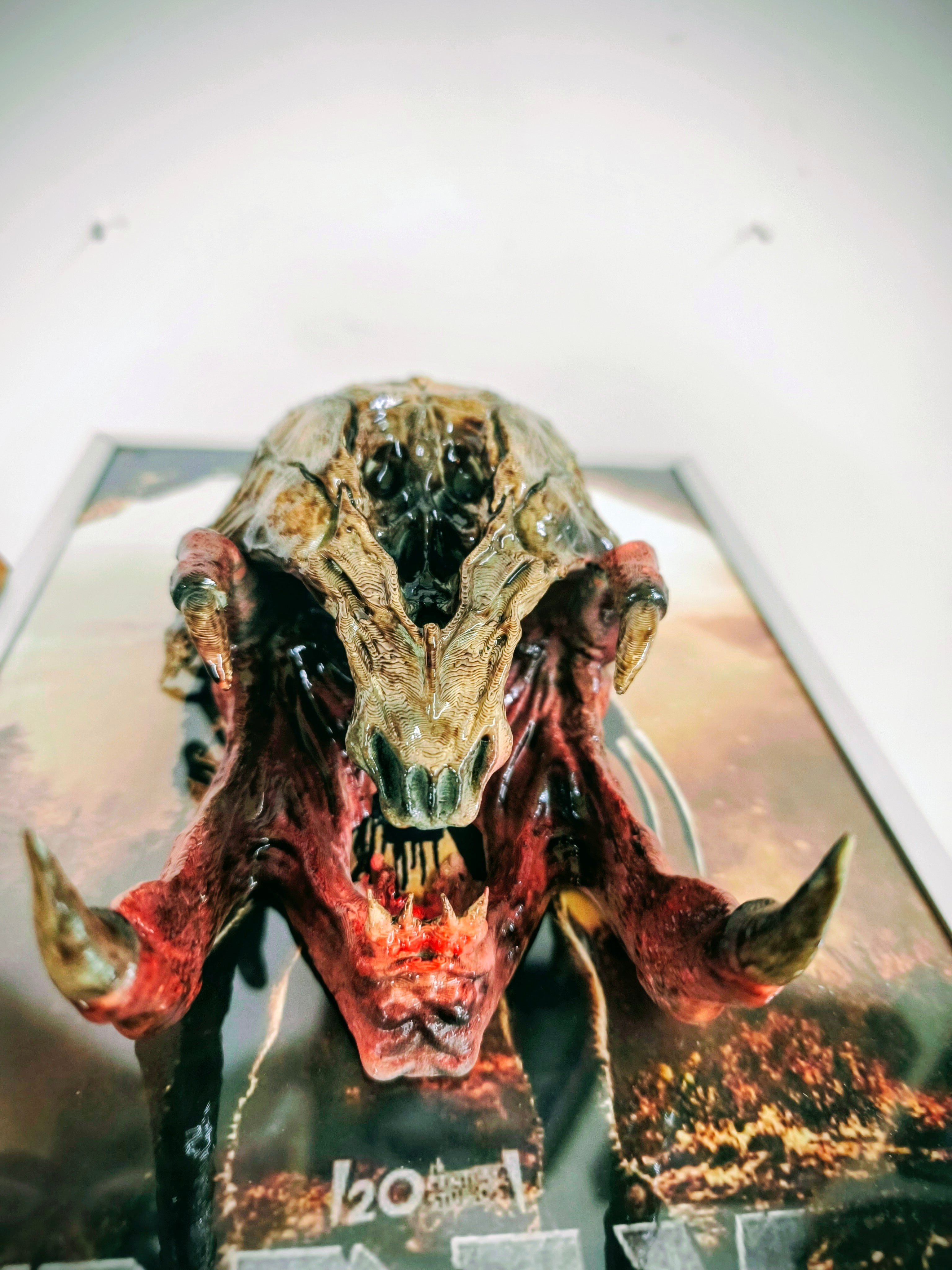 Nightmares in Frame - Prey Predator