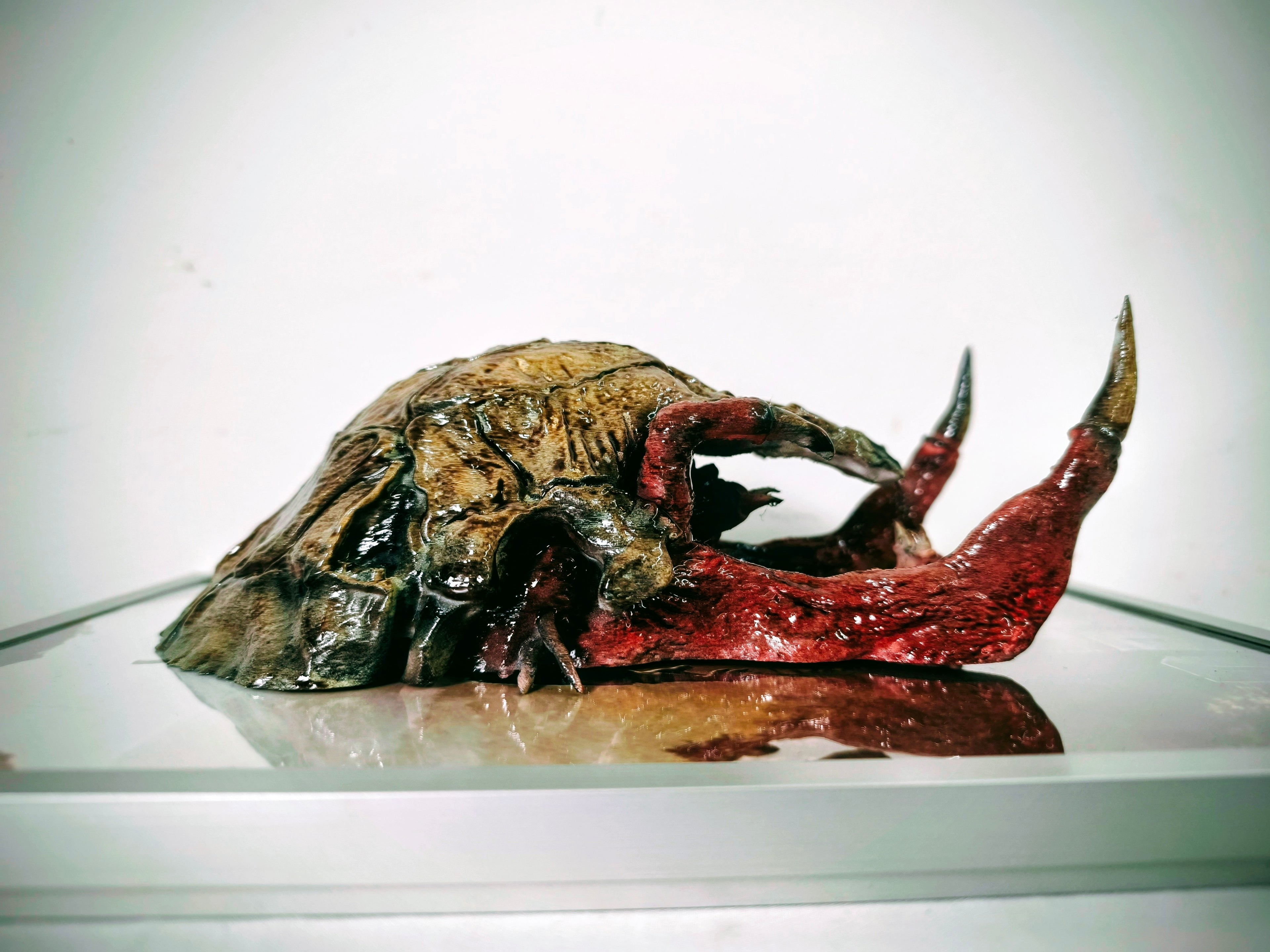 Nightmares in Frame - Prey Predator